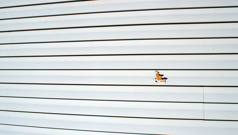 Expert repair services can address damage caused by weather or age, restoring your home's exterior.